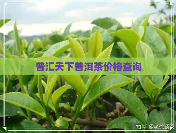 普汇天下普洱茶价格查询