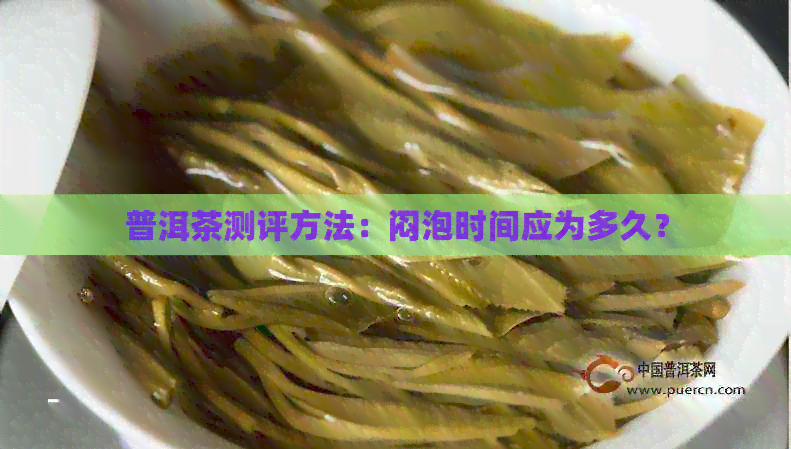 普洱茶测评方法：闷泡时间应为多久？