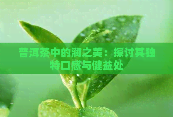 普洱茶中的润之美：探讨其独特口感与健益处