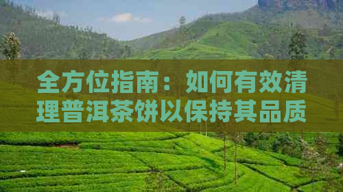 全方位指南：如何有效清理普洱茶饼以保持其品质与风味