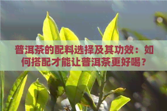 普洱茶的配料选择及其功效：如何搭配才能让普洱茶更好喝？