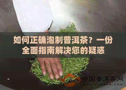 如何正确泡制普洱茶？一份全面指南解决您的疑惑