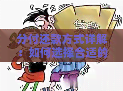 分付还款方式详解：如何选择合适的分期付款方案？