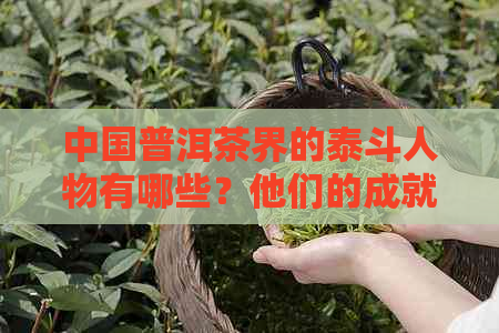 中国普洱茶界的泰斗人物有哪些？他们的成就和影响力如何？