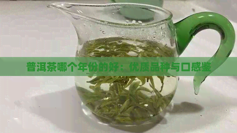 普洱茶哪个年份的好：优质品种与口感鉴