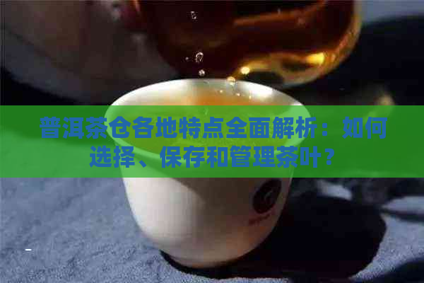 普洱茶仓各地特点全面解析：如何选择、保存和管理茶叶？