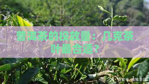 普洱茶的投放量：几克茶叶最合适？