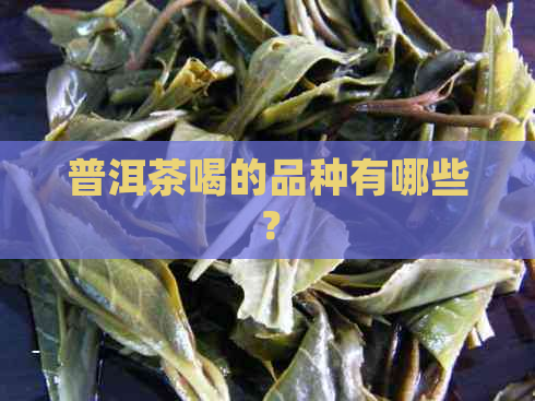 普洱茶喝的品种有哪些？