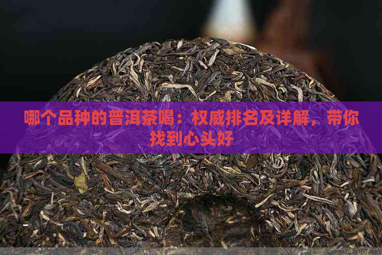 哪个品种的普洱茶喝：权威排名及详解，带你找到心头好