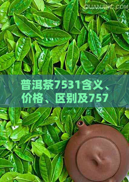 普洱茶7531含义、价格、区别及757292差异解析