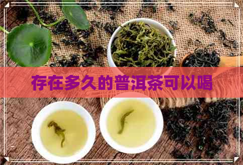 存在多久的普洱茶可以喝