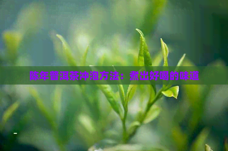 陈年普洱茶冲泡方法：煮出好喝的味道