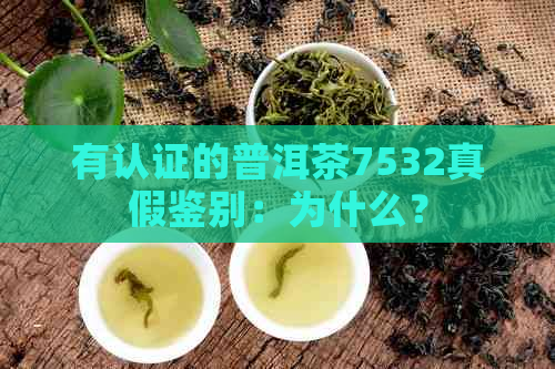 有认证的普洱茶7532真假鉴别：为什么？