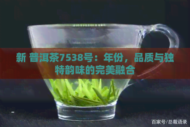 新 普洱茶7538号：年份，品质与独特韵味的完美融合