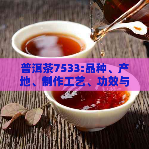 普洱茶7533:品种、产地、制作工艺、功效与禁忌的全面解析