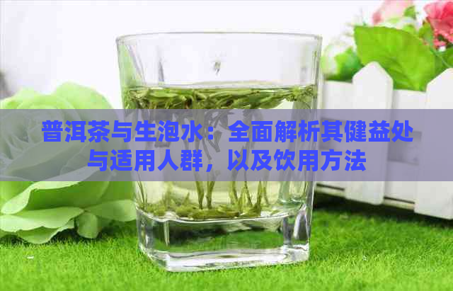 普洱茶与生泡水：全面解析其健益处与适用人群，以及饮用方法