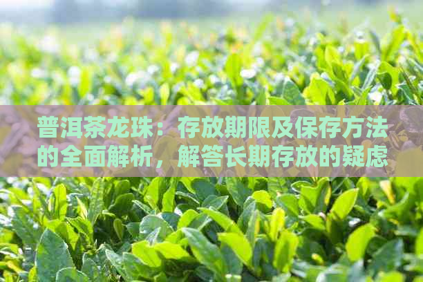 普洱茶龙珠：存放期限及保存方法的全面解析，解答长期存放的疑虑