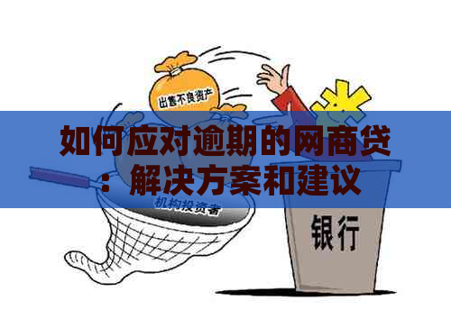 如何应对逾期的网商贷：解决方案和建议