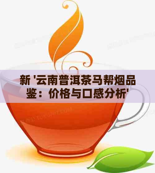 新 '云南普洱茶马帮烟品鉴：价格与口感分析'