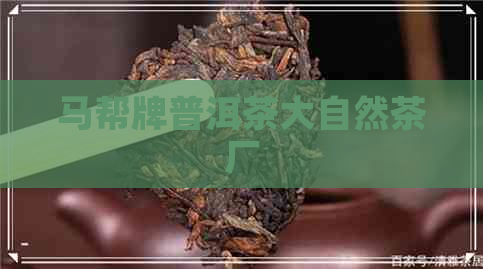 马帮牌普洱茶大自然茶厂