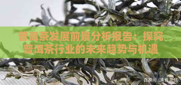 普洱茶发展前景分析报告：探究普洱茶行业的未来趋势与机遇