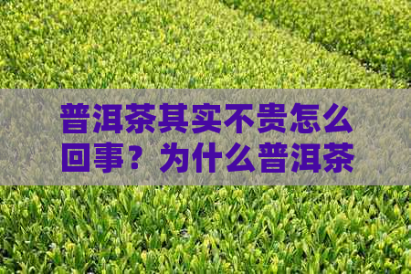 普洱茶其实不贵怎么回事？为什么普洱茶价格不高等疑问解答