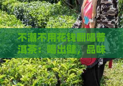 不潮不用花钱翻唱普洱茶：喝出健，品味人生