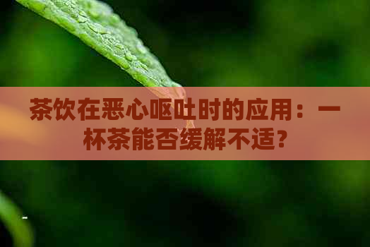 茶饮在恶心呕吐时的应用：一杯茶能否缓解不适？