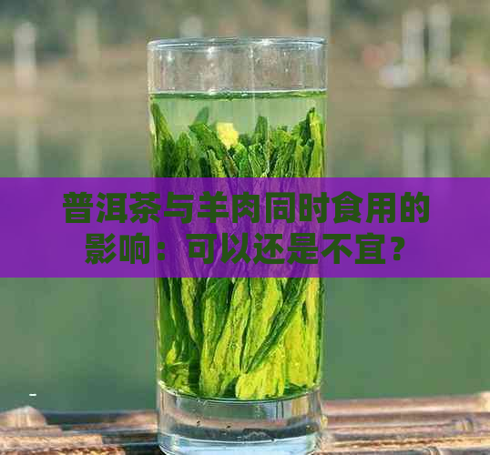 普洱茶与羊肉同时食用的影响：可以还是不宜？