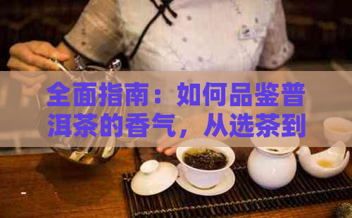 全面指南：如何品鉴普洱茶的香气，从选茶到冲泡再到品味全方位解析