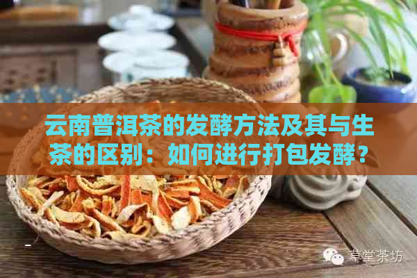 云南普洱茶的发酵方法及其与生茶的区别：如何进行打包发酵？