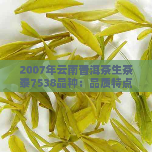 2007年云南普洱茶生茶泰7538品种：品质特点、价格、冲泡方法与口感分析