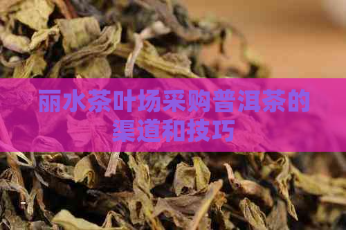 丽水茶叶场采购普洱茶的渠道和技巧