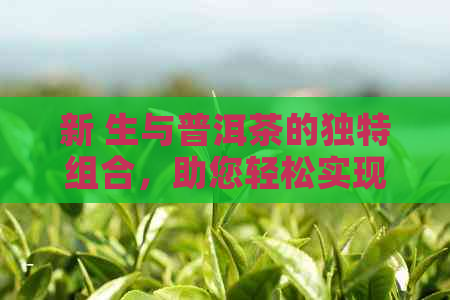 新 生与普洱茶的独特组合，助您轻松实现健减重目标