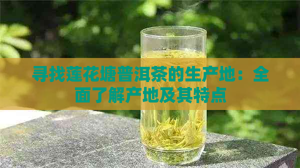 寻找莲花塘普洱茶的生产地：全面了解产地及其特点