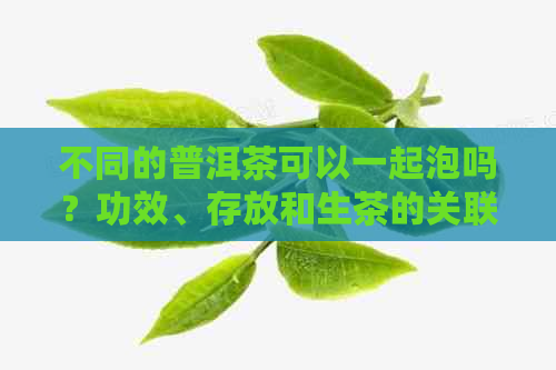 不同的普洱茶可以一起泡吗？功效、存放和生茶的关联，请提供详细的信息。