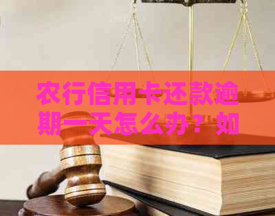 农行信用卡还款逾期一天怎么办？如何避免逾期产生？