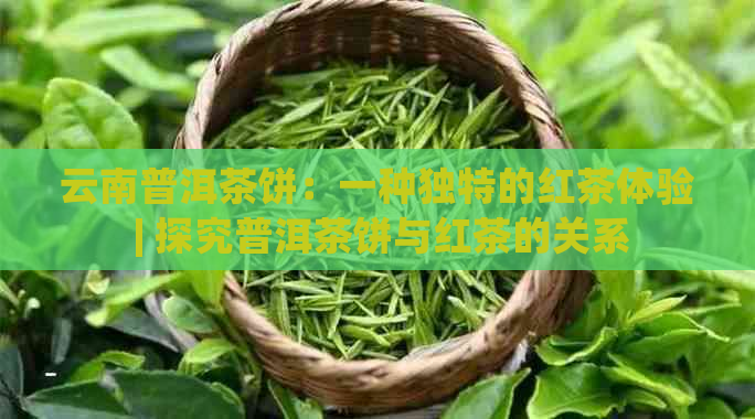 云南普洱茶饼：一种独特的红茶体验 | 探究普洱茶饼与红茶的关系