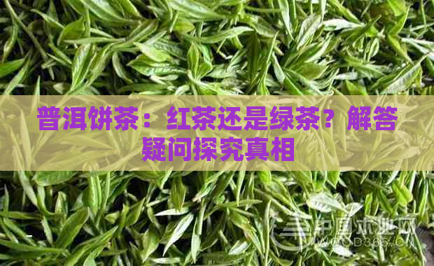 普洱饼茶：红茶还是绿茶？解答疑问探究真相