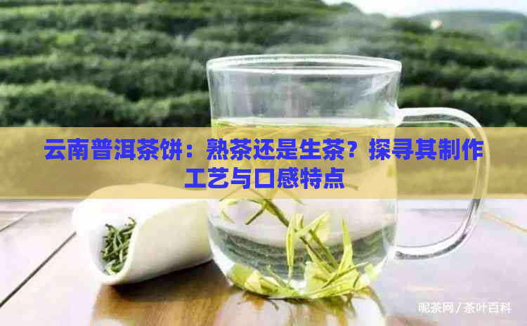 云南普洱茶饼：熟茶还是生茶？探寻其制作工艺与口感特点