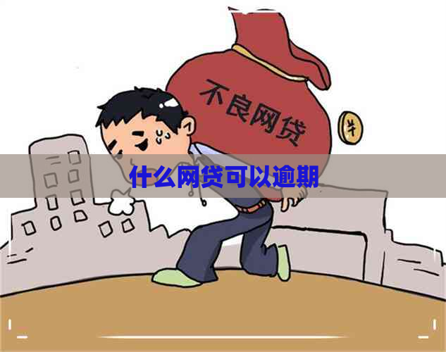 什么网贷可以逾期