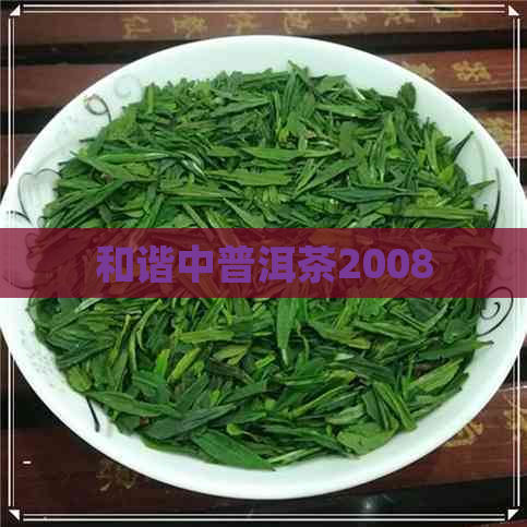 和谐中普洱茶2008