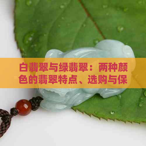 白翡翠与绿翡翠：两种颜色的翡翠特点、选购与保养全解析