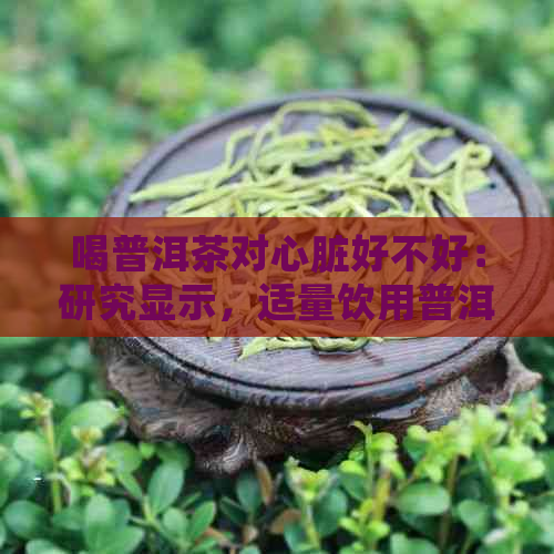 喝普洱茶对心脏好不好：研究显示，适量饮用普洱茶可能对心脏有益。