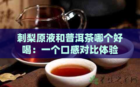 刺梨原液和普洱茶哪个好喝：一个口感对比体验