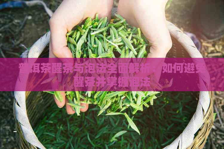 普洱茶醒茶与泡法全面解析：如何避免醒茶并掌握泡法