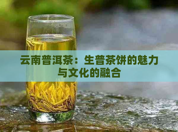 云南普洱茶：生普茶饼的魅力与文化的融合