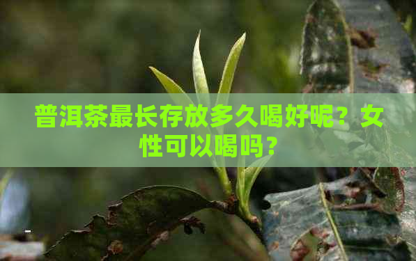 普洱茶最长存放多久喝好呢？女性可以喝吗？