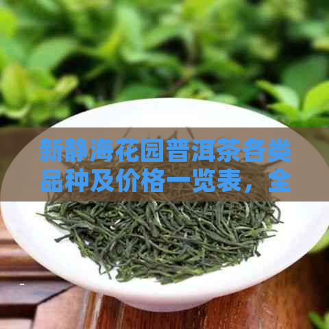 新静海花园普洱茶各类品种及价格一览表，全方位了解普洱茶市场信息。