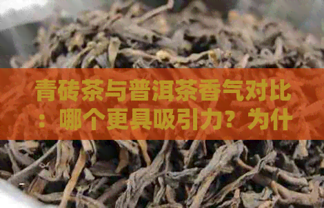 青砖茶与普洱茶香气对比：哪个更具吸引力？为什么两者在香气上有所差异？